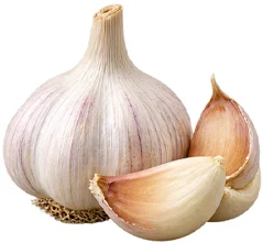 Garlic bulb extract — Cardio A ingredient